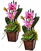 Nearly Natural Purple Cattleya Orchid and Succulent Artificial Arrangement, Set of 2