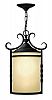 1142OL - Hinkley Lighting - Casa - One Light Outdoor Hanging Lantern Light Amber Etched 100W Medium BaseOlde Black Finish - Casa