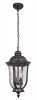 Z6011-OBO - Craftmade Lighting - Frances - Two Light Pendant Oiled Bronze Finish With Hammered Clear Glass - Frances