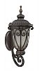 60/3923 - Nuvo Lighting - Corniche - One Light Mid - Size Outdoor Wall Sconce Burlwood Finish with Clear Seeded Shade - Corniche