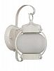 60/3941 - Nuvo Lighting - One Light Onion Outdoor Wall Sconce White Finish with Clear Seed Shade -