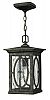 1492AM-LED - Hinkley Lighting - Randolph - One Light Outdoor Hanging Lantern LEDAutumn Finish with Clear Seedy/Etched Seedy Glass -
