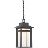 BEC1909SBK - Quoizel Lighting - Beacon - 17 Inch 22W 1 LED Large Outdoor Hanging Lantern Stone Black Finish with Clear Seedy Glass - Beacon