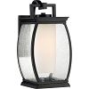 TRE8407K - Quoizel Lighting - Terrace - 100W One Light Outdoor Medium Wall Lantern Mystic Black Finish with White Opal Etched/Clear Seedy Glass - Terrace