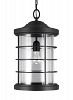 6224401-12 - Sea Gull Lighting - Sauganash - One Light Outdoor Pendant Black Finish with Clear Seeded Glass - Sauganash