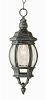 4065 BG - Trans Globe Lighting - Classic - One Light Small Hanging Lantern Black Gold Finish with Beveled Glass - Classic