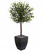 Nearly Natural 4.5' Olive Topiary Artificial Tree in Black-Washed Planter