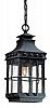 FCD8973NB - Troy Lighting - Dover - One Light Outdoor Medium Hanging Lantern Natural Bronze Finish with Clear Seeded Glass - Dover