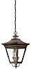 F8935NR - Troy Lighting - Oxford - Three Light Outdoor Large Pendant Natural Rust Finish with Clear Seeded Glass - Oxford