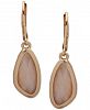 lonna & lilly Gold-Tone Stone Drop Earrings
