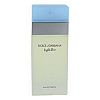 Light Blue Eau De Toilette Spray (Tester) By Dolce & Gabbana - 3.4 oz Eau De Toilette Spray