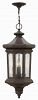1602OZ - Hinkley Lighting - Raley - Four Light Outdoor Hanging Lantern 40W Candelabra Oil Rubbed Bronze Finish with Clear Water Glass - Raley