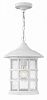 1802CW - Hinkley Lighting - Freeport - 14 Inch One Light Outdoor Hanging Lantern 100W Medium Base Classic White Finish with Clear Seedy Glass -