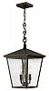 1432RB-LED - Hinkley Lighting - Trellis - Three Light Outdoor Hanging Lantern LED CandelabraRegency Bronze Finish with Clear Seedy Glass -