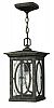 1492AM - Hinkley Lighting - Randolph - One Light Outdoor Hanging Lantern Medium BaseAutumn Finish with Clear Seedy/Etched Seedy Glass -