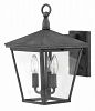 1429DZ-LL - Hinkley Lighting - Trellis - Three Light Outdoor Small Wall Mount LED CandelabraAged Zinc Finish with Clear Glass -