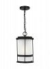 6290901EN3-12 - Generation Lighting - Wilburn - 14 Inch 9.3W 1 LED Outdoor Pendant Black Finish With Satin Etched Glass - Wilburn