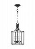 AC1004SMS - Generation Lighting - Bantry House - 4 Light Small Outdoor Hanging Lantern Smith Steel Finish - Bantry House